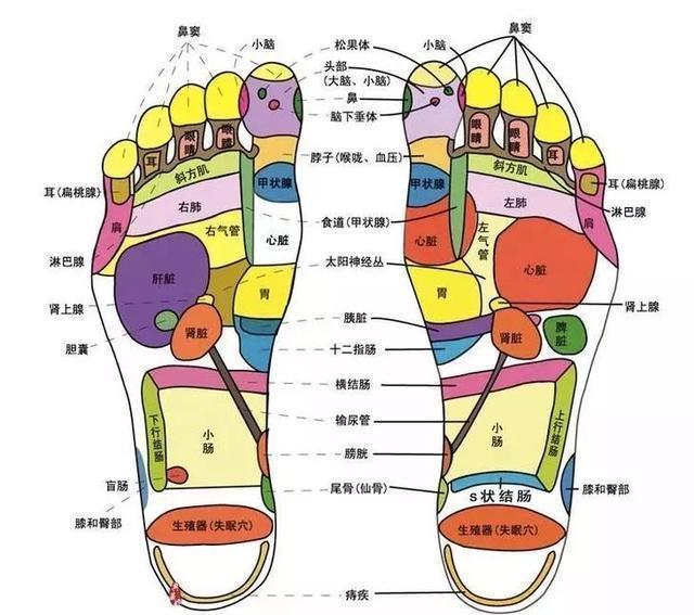 脚上有个化血栓开关,打开它,清血管,防血栓!9种人最好